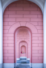 the lady in pink Poster och Canvastavla