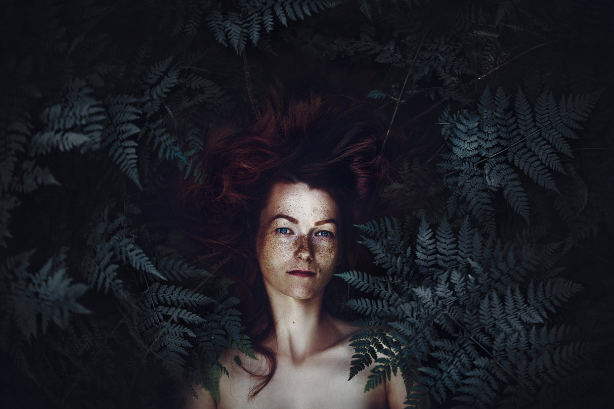 The Forest Soul Poster och Canvastavla