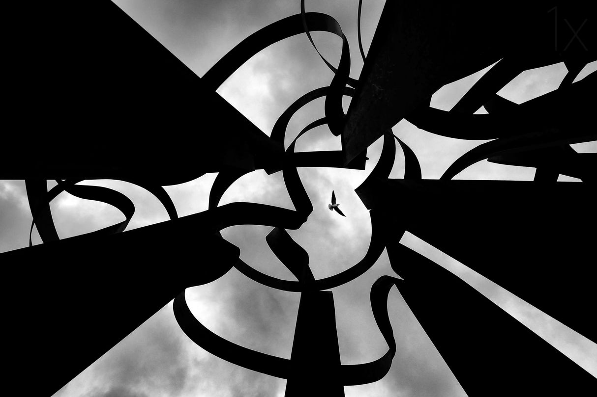 A kind of freedom Poster och Canvastavla