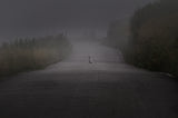 I will wait for you here, forever. Poster och Canvastavla