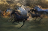 Rush Poster och Canvastavla