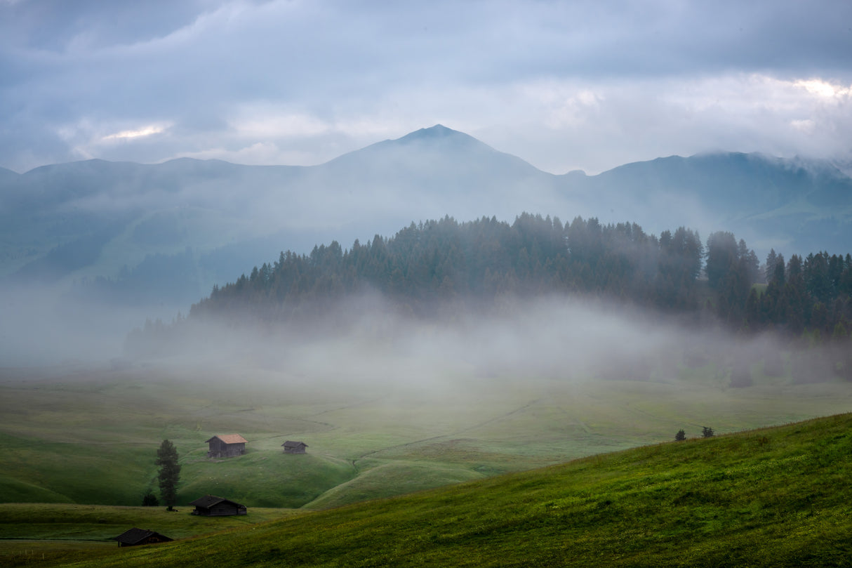 Morning Fog Alpe Di Siusi Poster och Canvastavla
