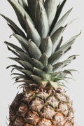 Pineapple Natural 03 Poster och Canvastavla