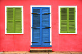 New Orleans Windows and Doors XV Poster och Canvastavla