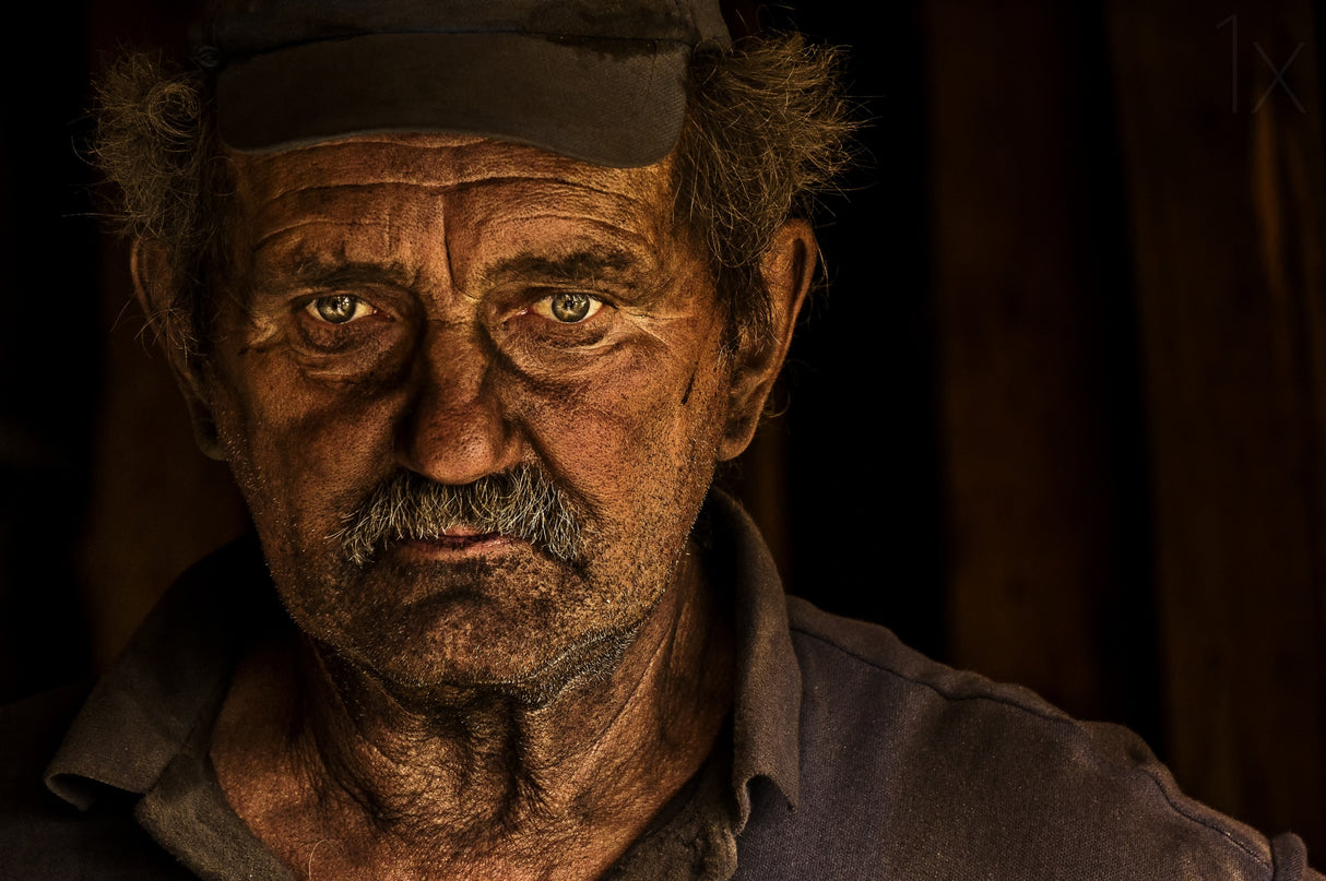 Portrait of a life Poster och Canvastavla