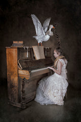 Music lets you fly Poster och Canvastavla