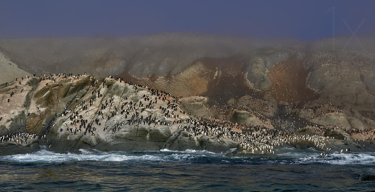 Morning on the Dandger island Poster och Canvastavla