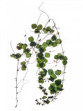 Herbarium 03 Poster och Canvastavla