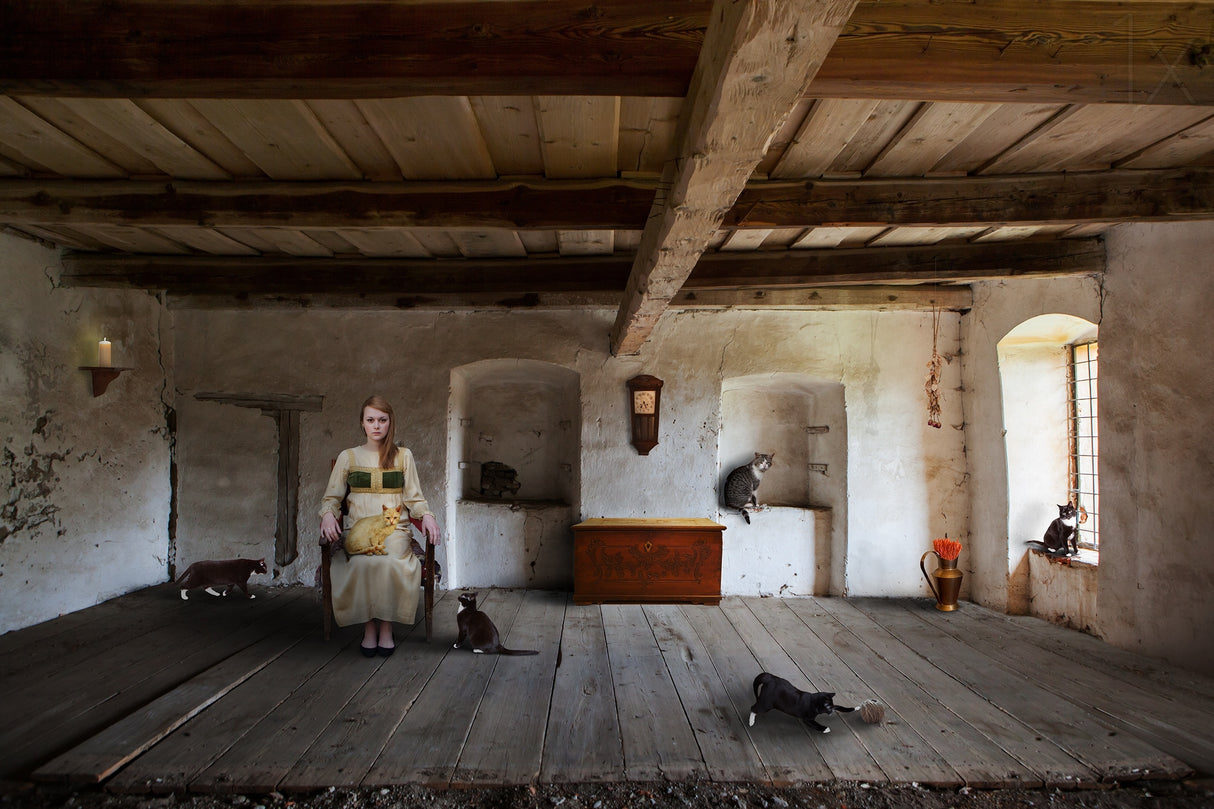 The Cat Queen Poster och Canvastavla