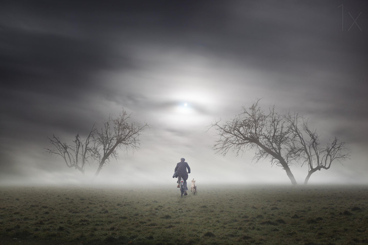 The No Man Land Poster och Canvastavla