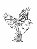 If You're a Bird Poster och Canvastavla