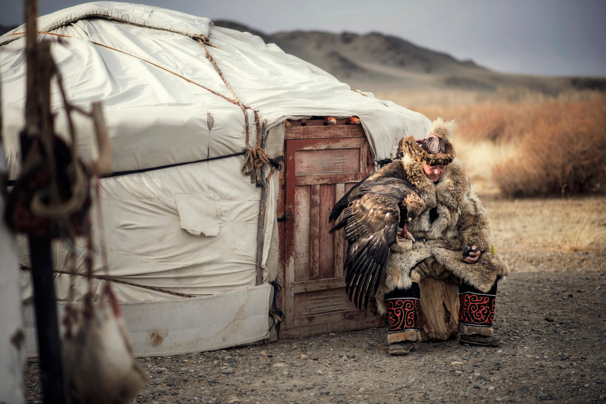 Kazakh Eagle Hunter of Mongolia. Poster och Canvastavla