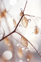 Tiny Wet Leafs Poster och Canvastavla