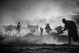 Mundari's life, SOUTH SUDAN Poster och Canvastavla