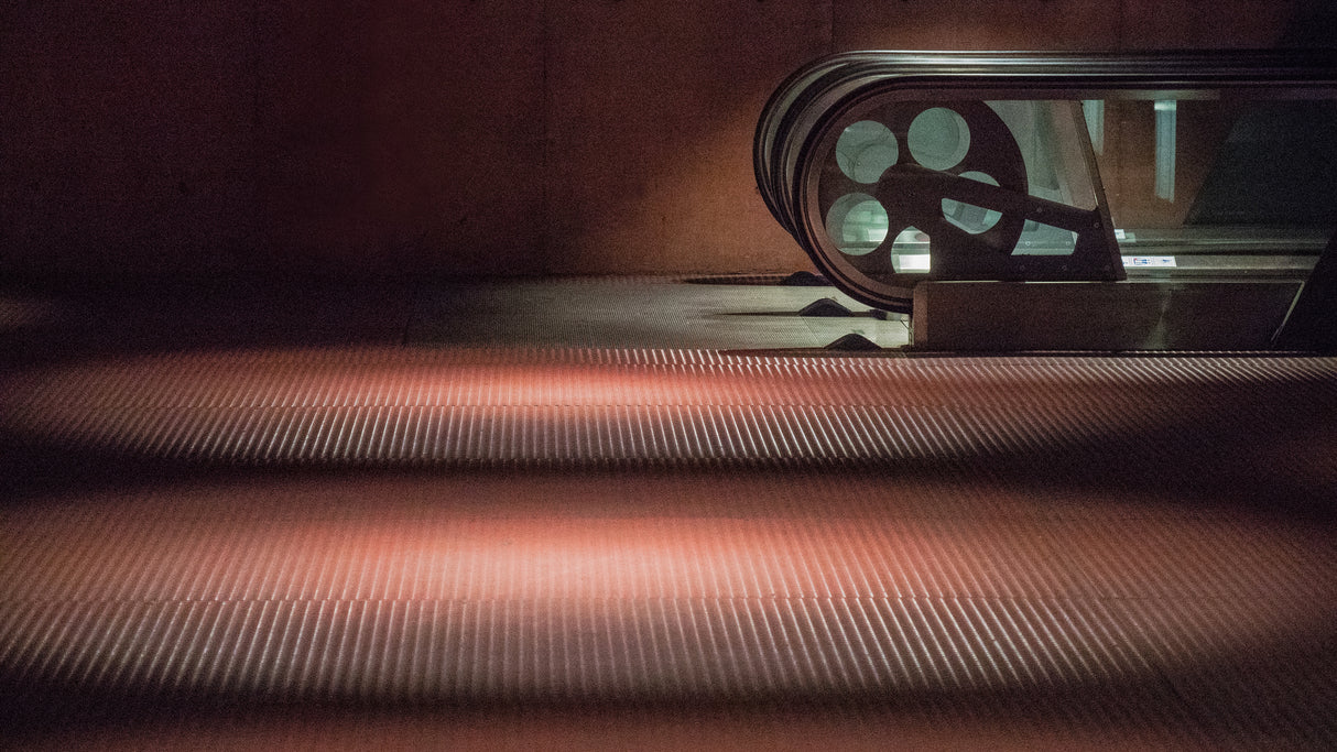Spotlight for two Poster och Canvastavla
