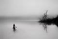 calmness Poster och Canvastavla