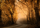 Tuscan Dream Alley III Poster och Canvastavla