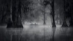 Misty Morning Poster och Canvastavla