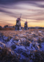 Winter morning Poster och Canvastavla