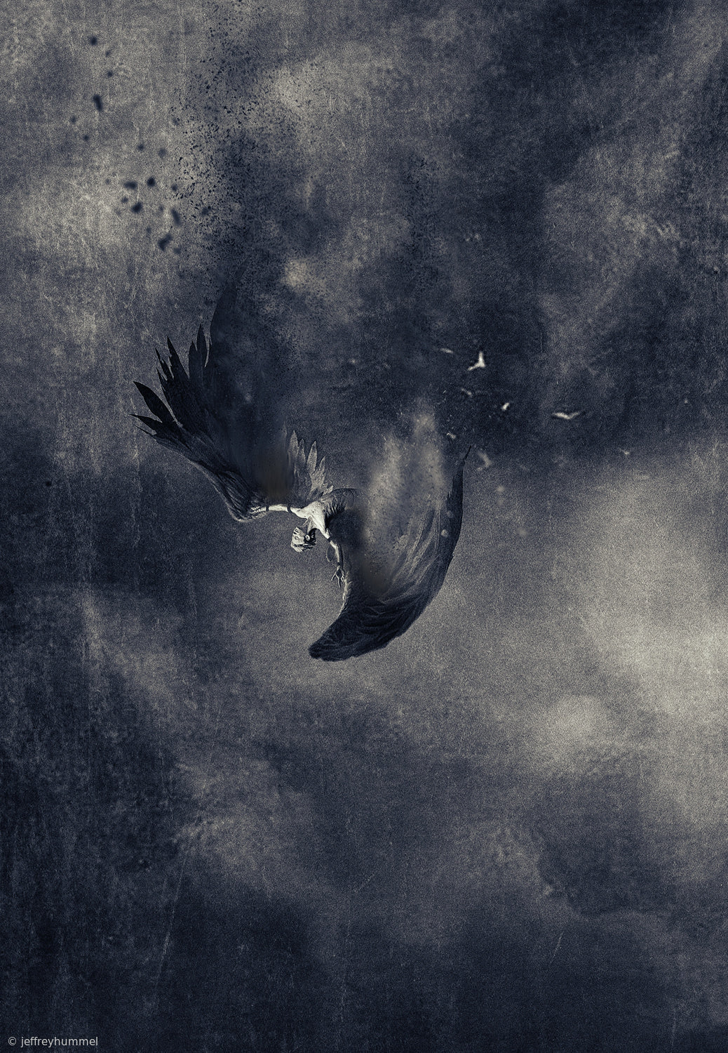 icarus Poster och Canvastavla