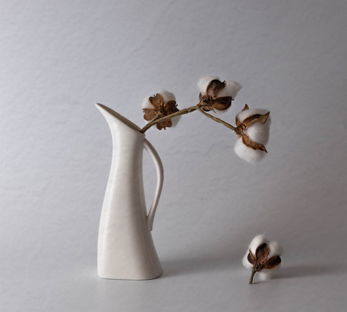 Still Life with Cotton Poster och Canvastavla