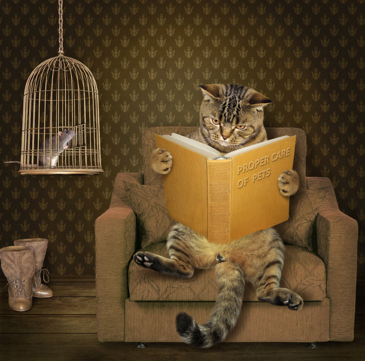 Cat and his pet..... Poster och Canvastavla