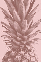Pineapple Close Up 01 Poster och Canvastavla