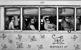 Monkeys Poster och Canvastavla