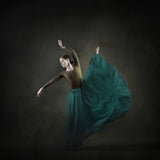 The girl &amp; dance Poster och Canvastavla
