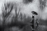 ‘...a walk in the rain..’ Poster och Canvastavla