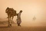 Sand Storm Poster och Canvastavla