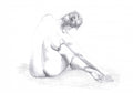 Sketch of a Woman Poster och Canvastavla