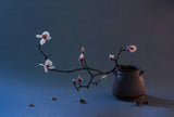 Still life Magnolia flowers Poster och Canvastavla
