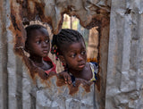 Through the broken fence Poster och Canvastavla