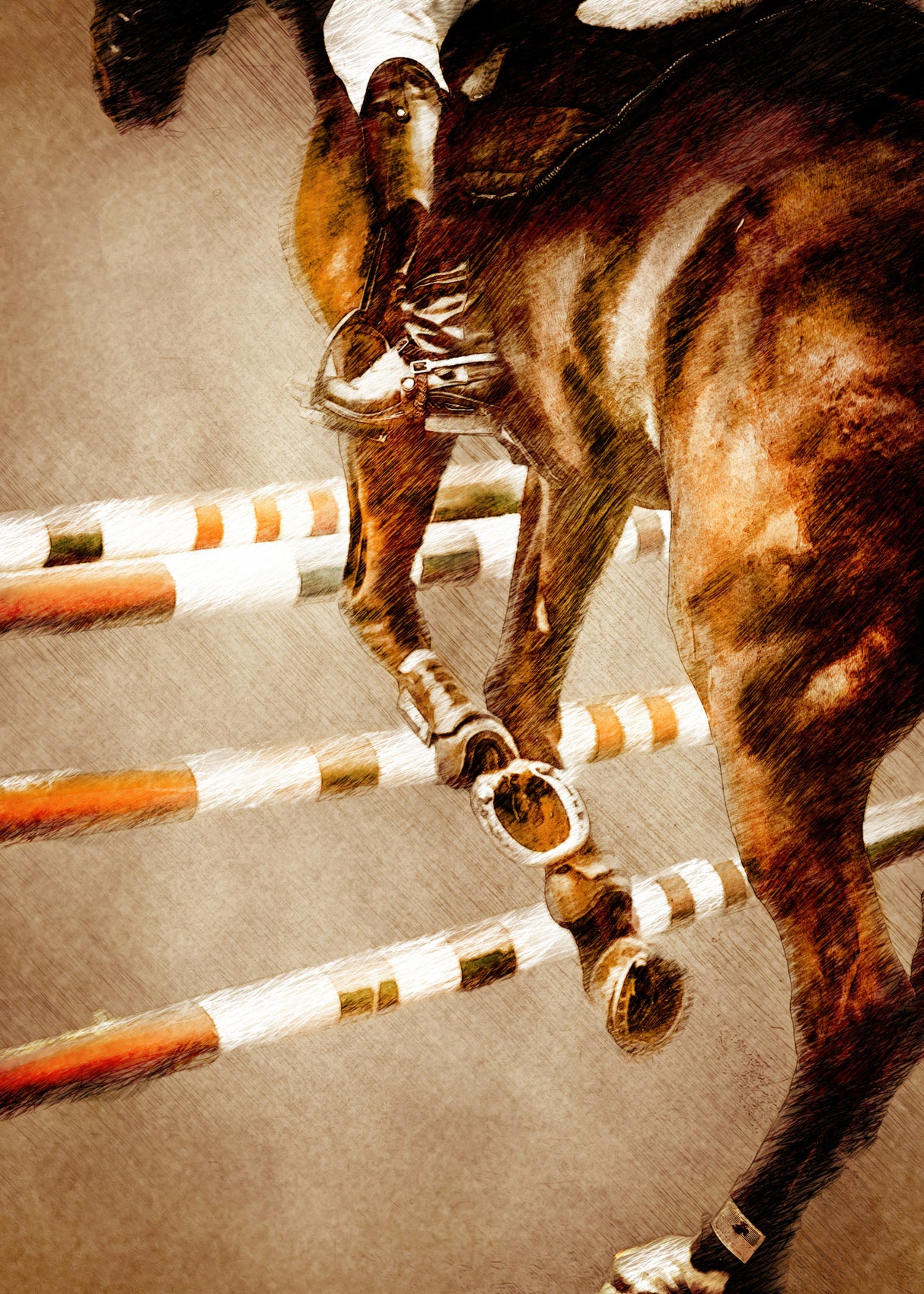 Horse Riding Sport Art (5) Poster och Canvastavla
