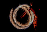 Fire Dance Poster och Canvastavla