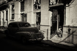 Habana street Poster och Canvastavla