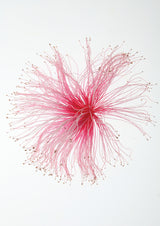 Botanical Paint Brush Poster och Canvastavla
