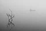 Foggy Day-2 Poster och Canvastavla