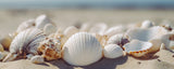 Beach Impressions No 34 Poster och Canvastavla