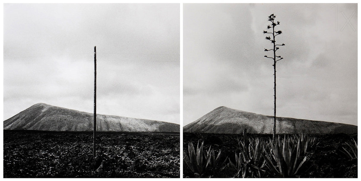 Montañas del fuego Poster och Canvastavla