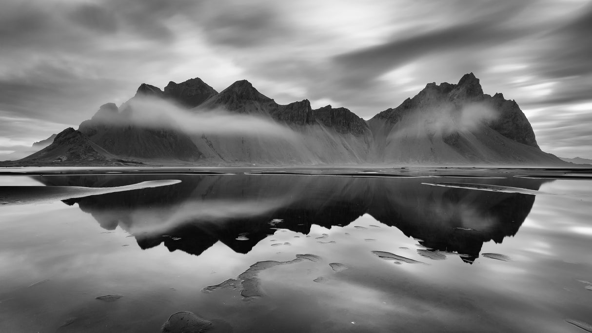Monochrome Majesty Poster och Canvastavla