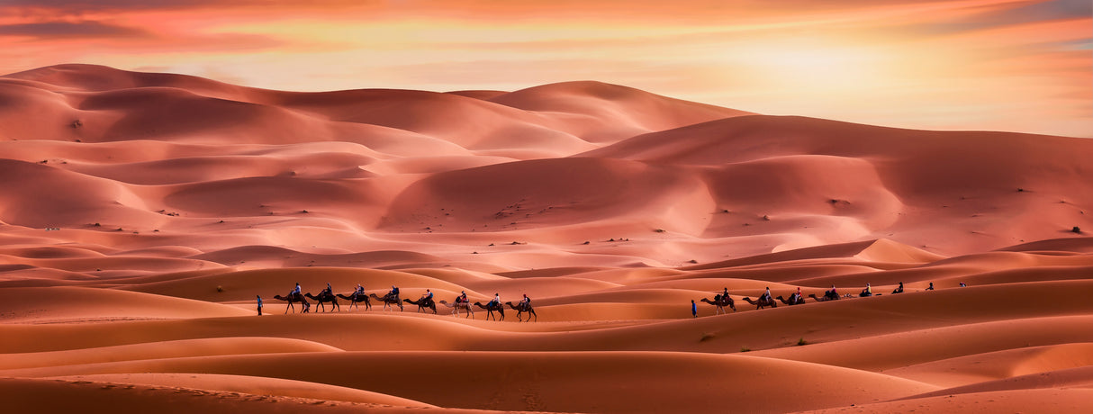 Walk through the desert Poster och Canvastavla