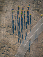 Traffic Sign Overload Poster och Canvastavla