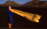 Blowing in the wind (from the series "Imaginations incognito") Poster och Canvastavla