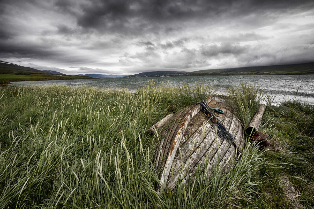 Hiding in the Grass Poster och Canvastavla
