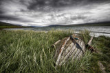 Hiding in the Grass Poster och Canvastavla