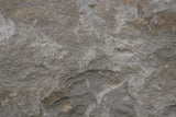 Tex Surface S54 Poster och Canvastavla