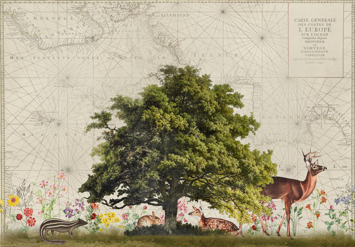 Nordic Woods No2 Poster och Canvastavla