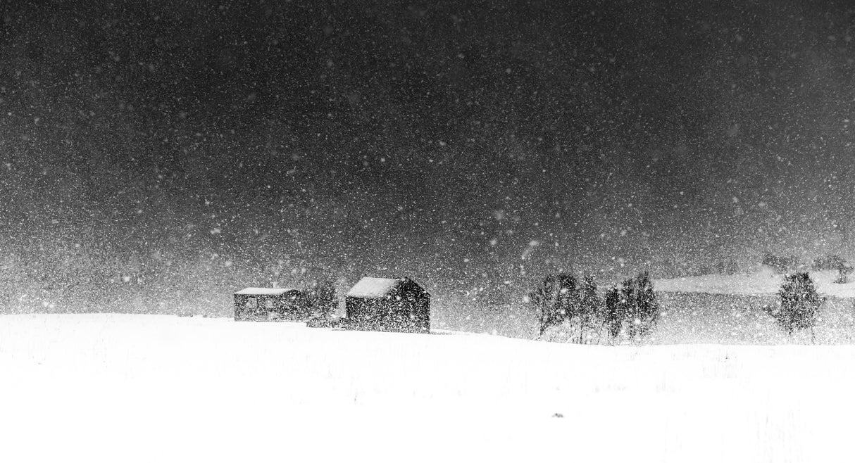 Snow fall Poster och Canvastavla